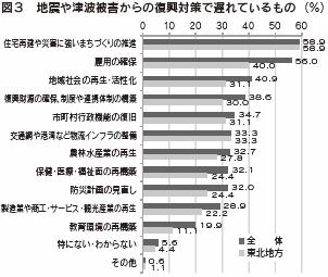 図３　地震や津波被害からの復興対策で遅れているもの