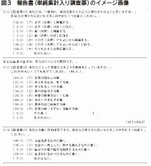 図３　報告書（単純集計入り調査票）のイメージ画像