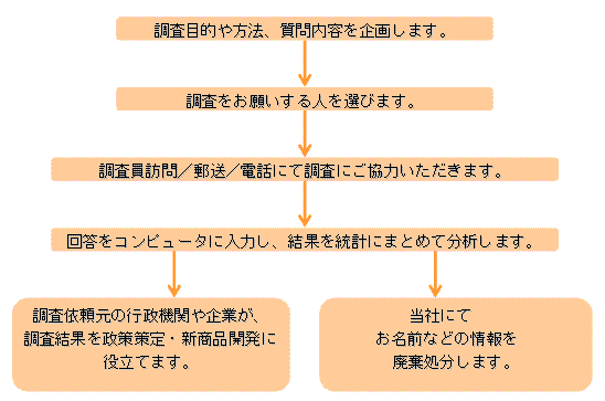 調査の流れ